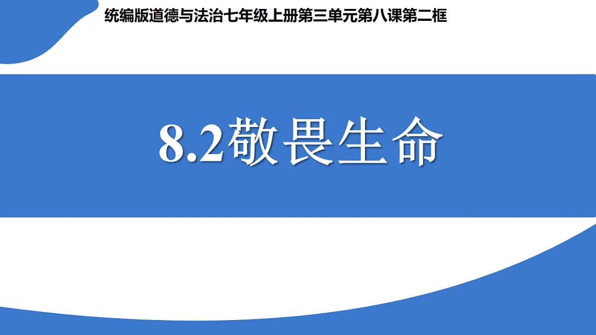17555538第3页