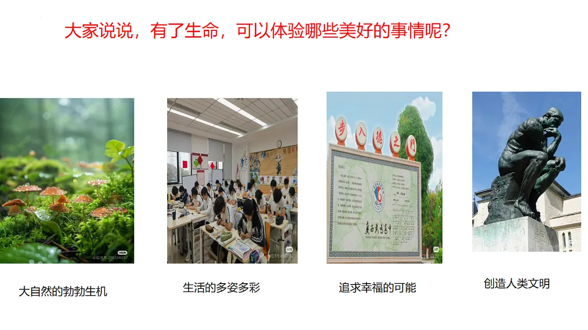 17555540第5页