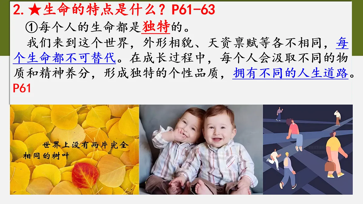 17555540第8页