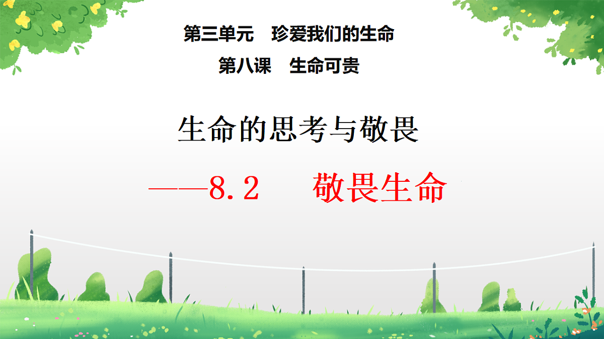 17555541第2页