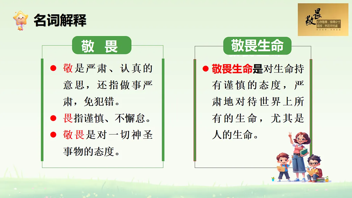 17555543第3页