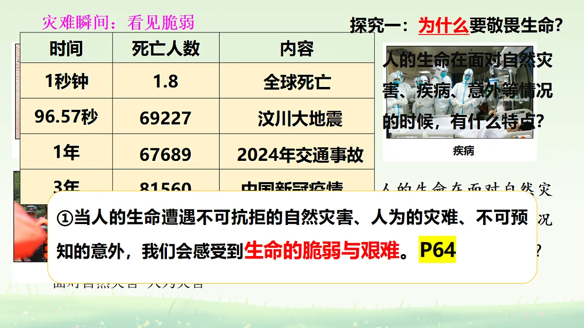 17555543第8页