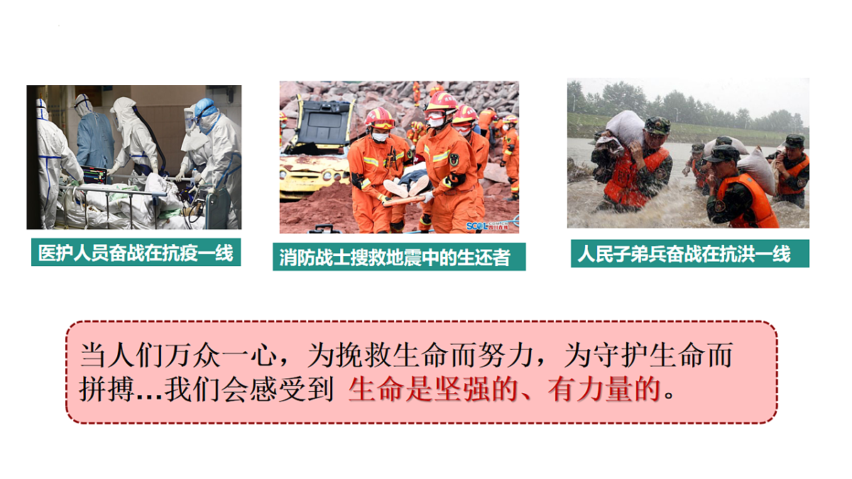 17555544第5页
