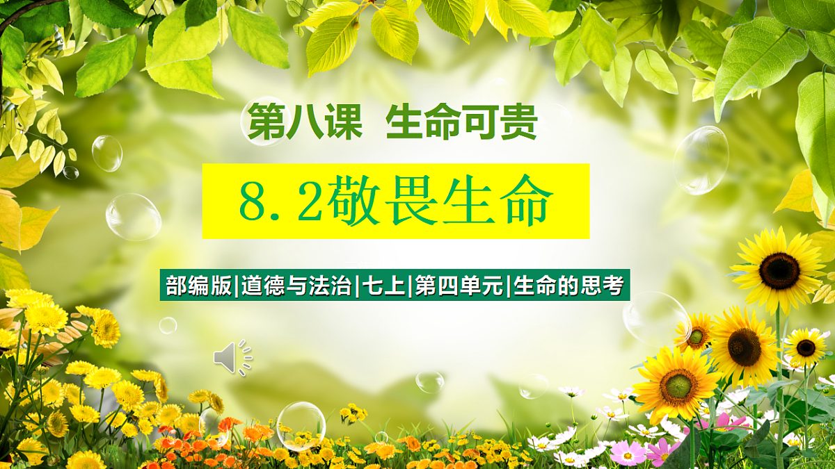 17555545第2页