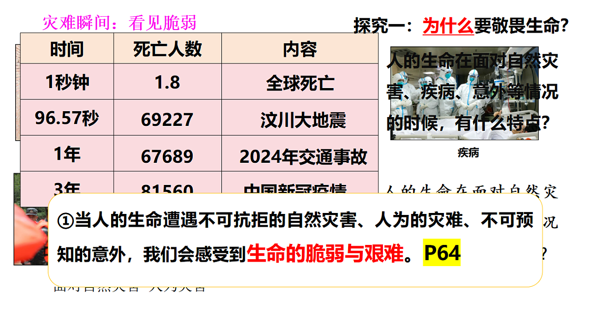 17555545第7页