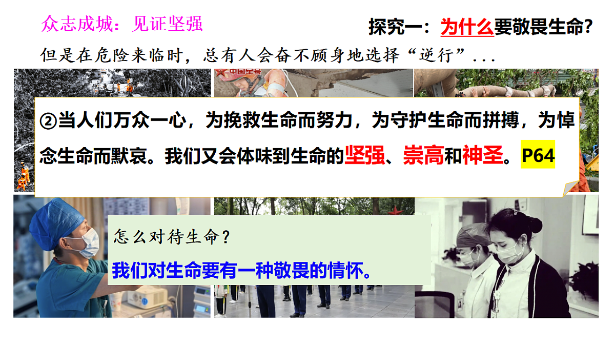 17555545第8页