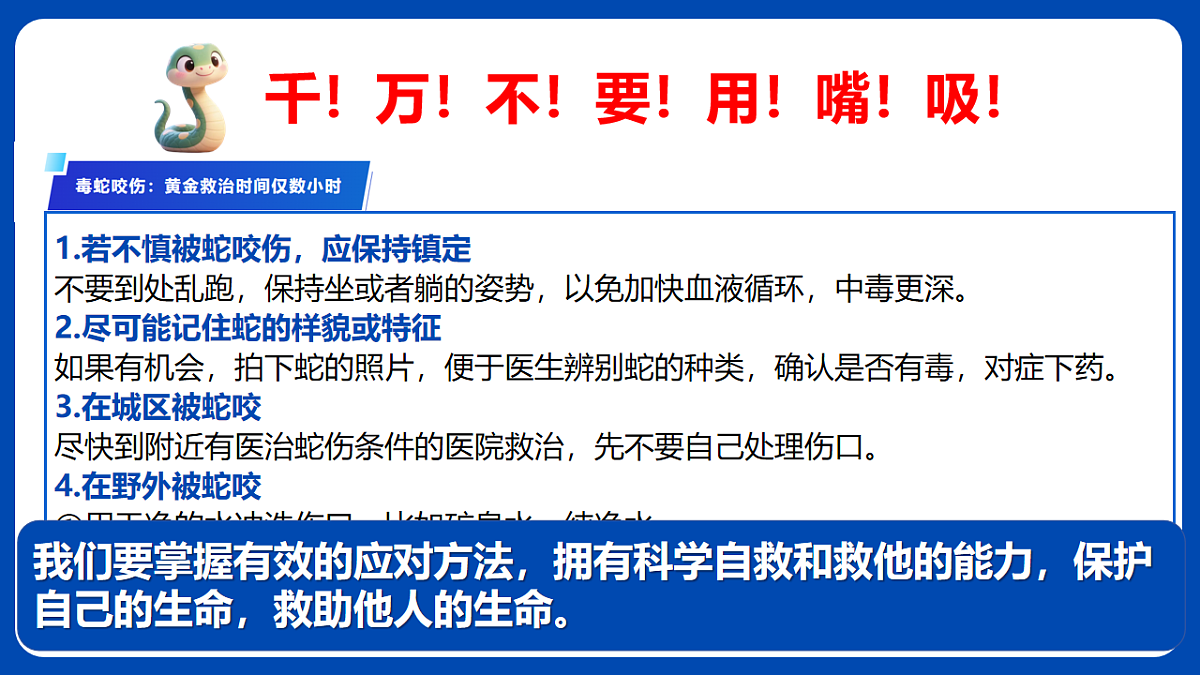 17555550第8页