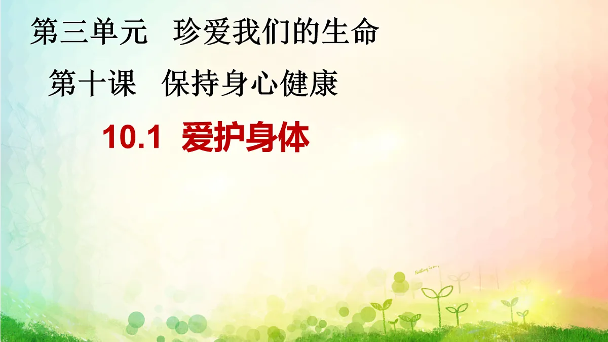17555553第3页