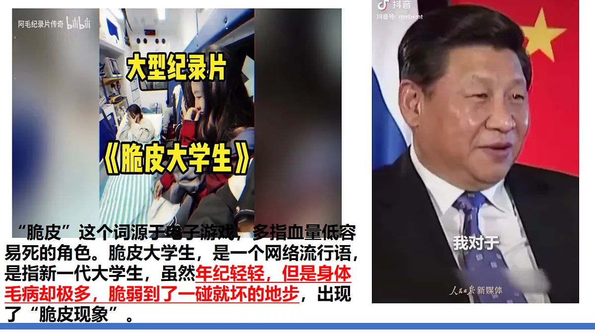 17555555第6页