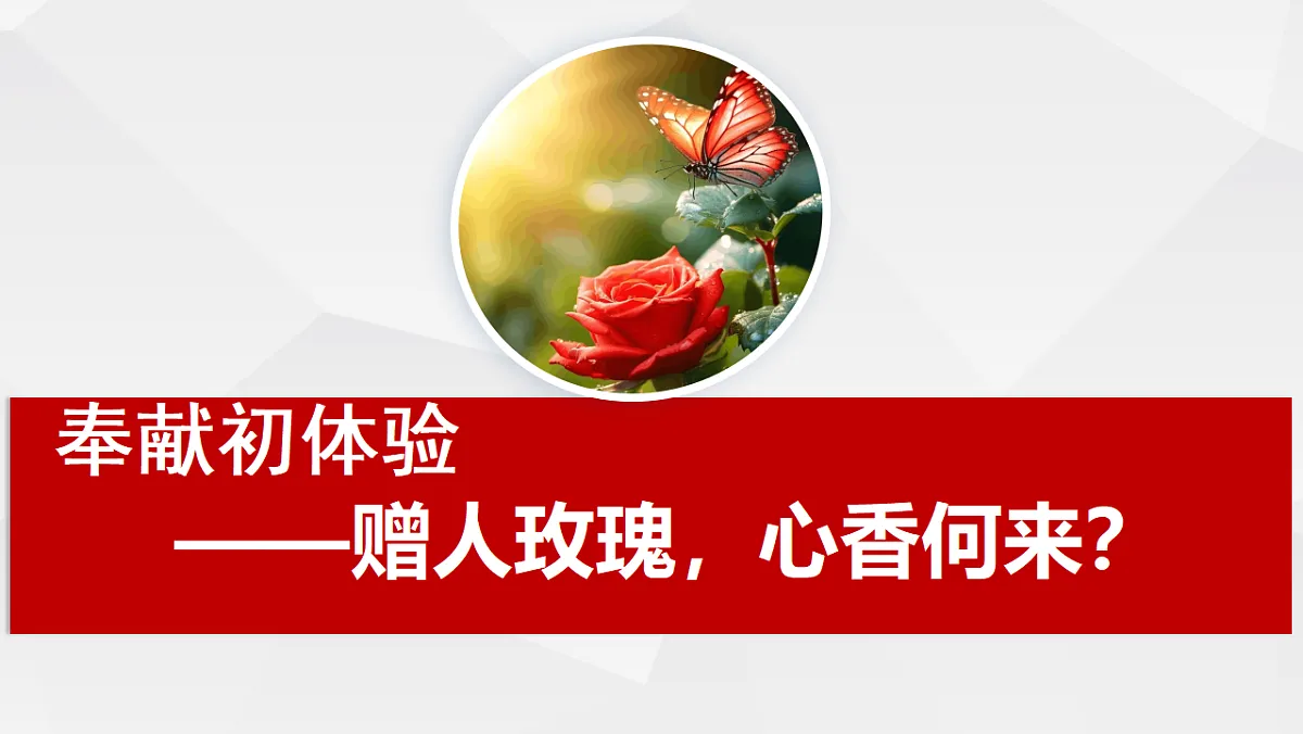 17555567第3页
