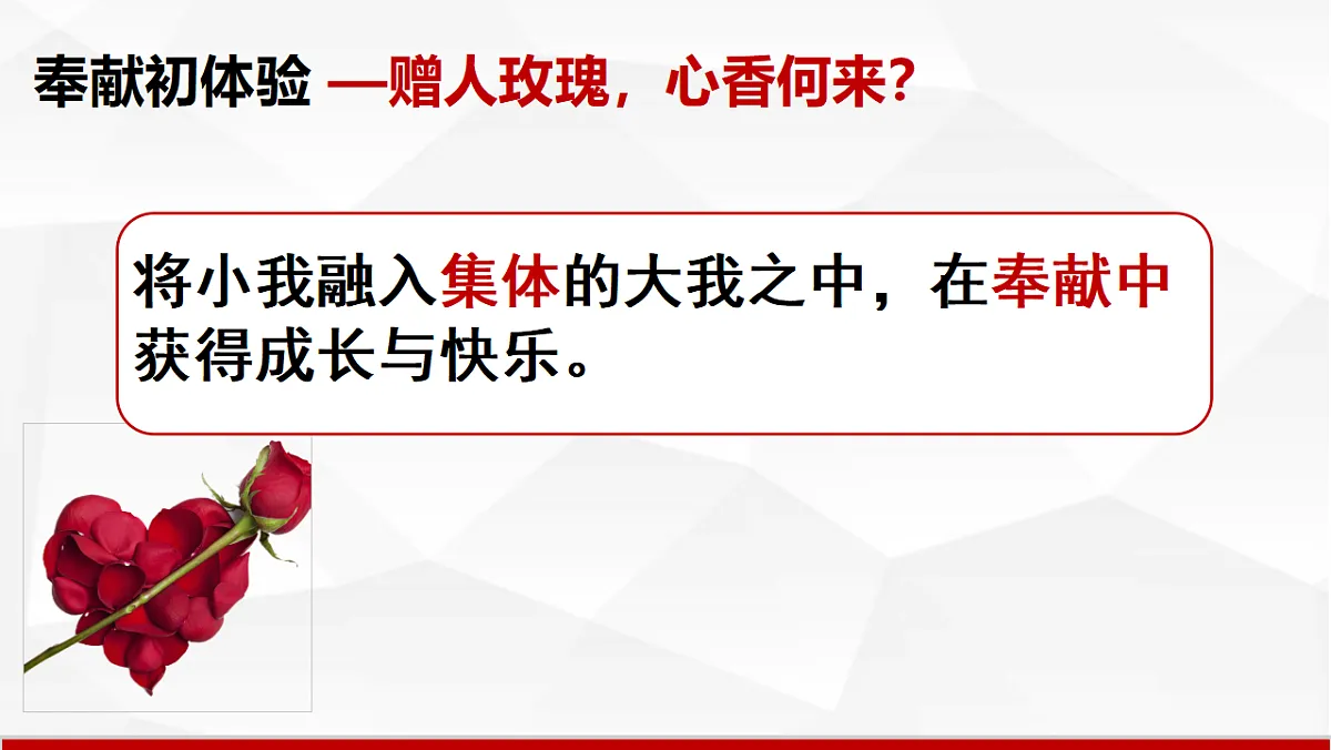 17555567第5页