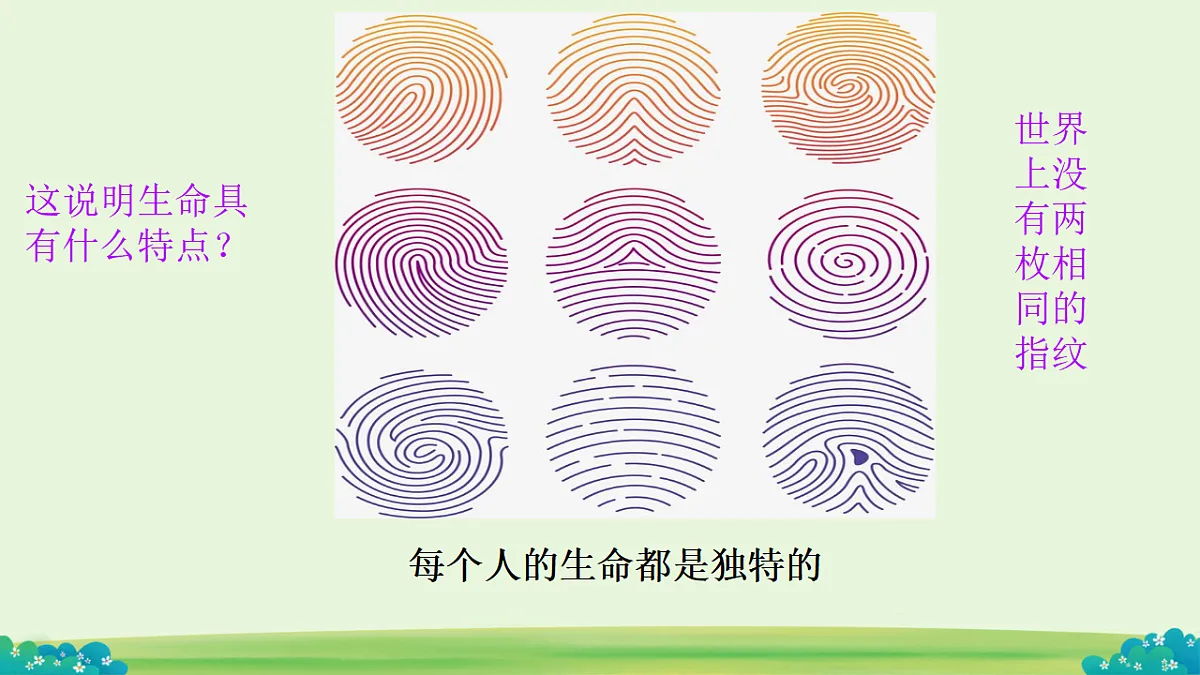 17555875第3页