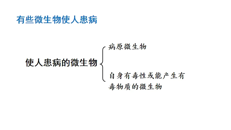17557235第3页
