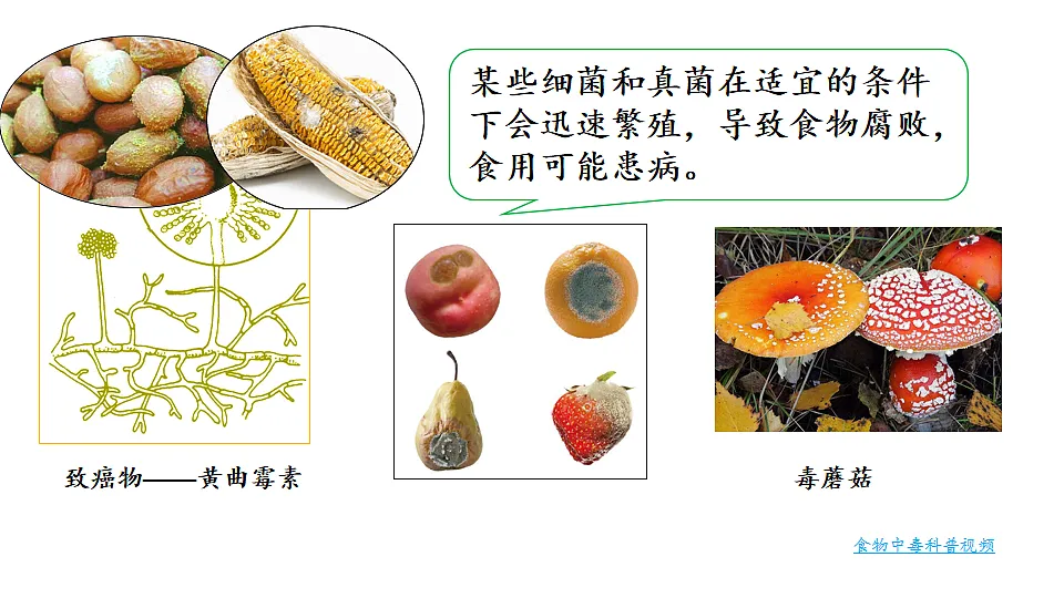17557235第4页