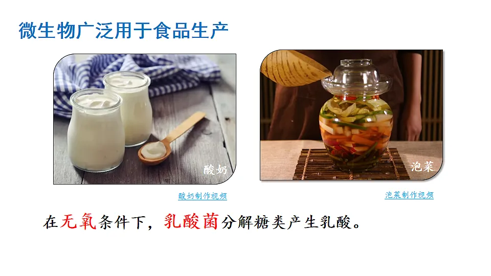 17557235第5页