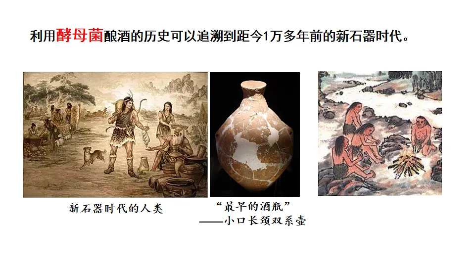 17557235第6页