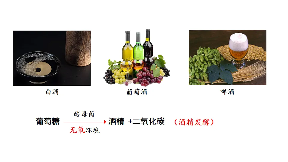 17557235第7页