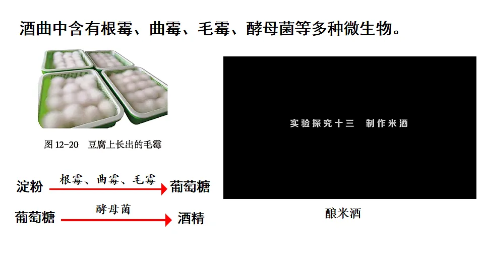 17557235第8页