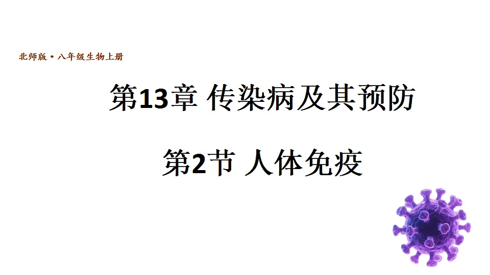 17557237第1页