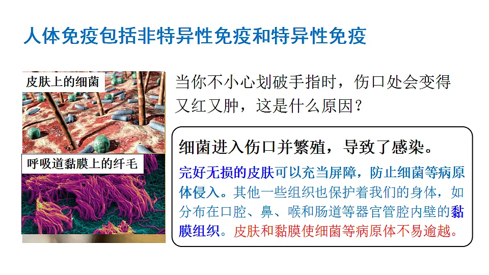 17557237第3页
