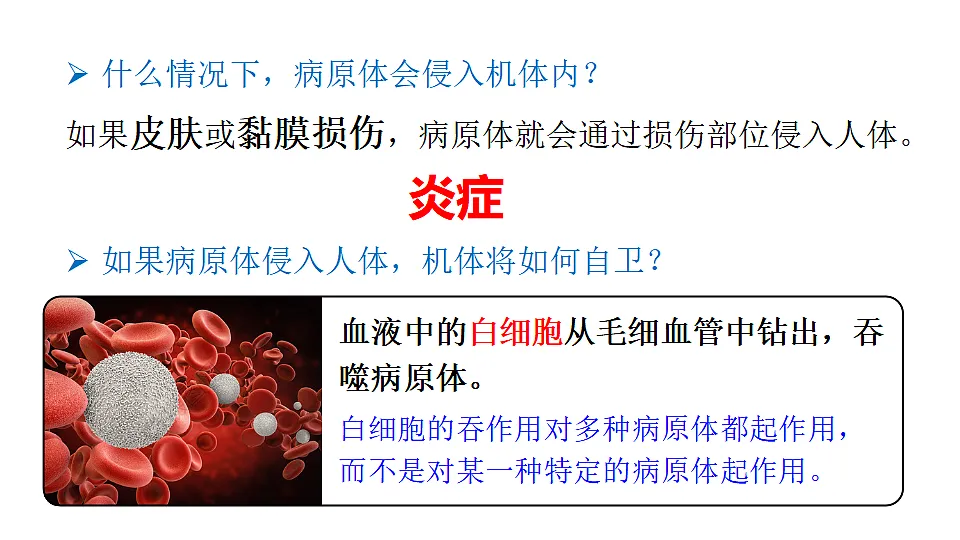 17557237第4页