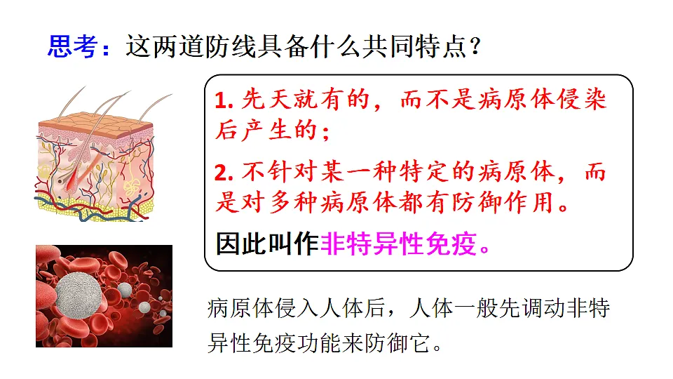 17557237第5页