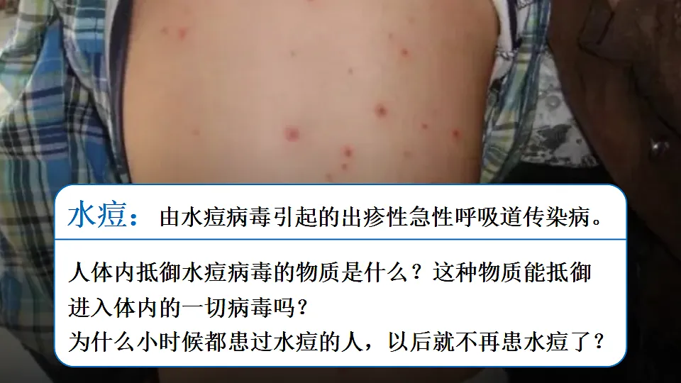 17557237第6页