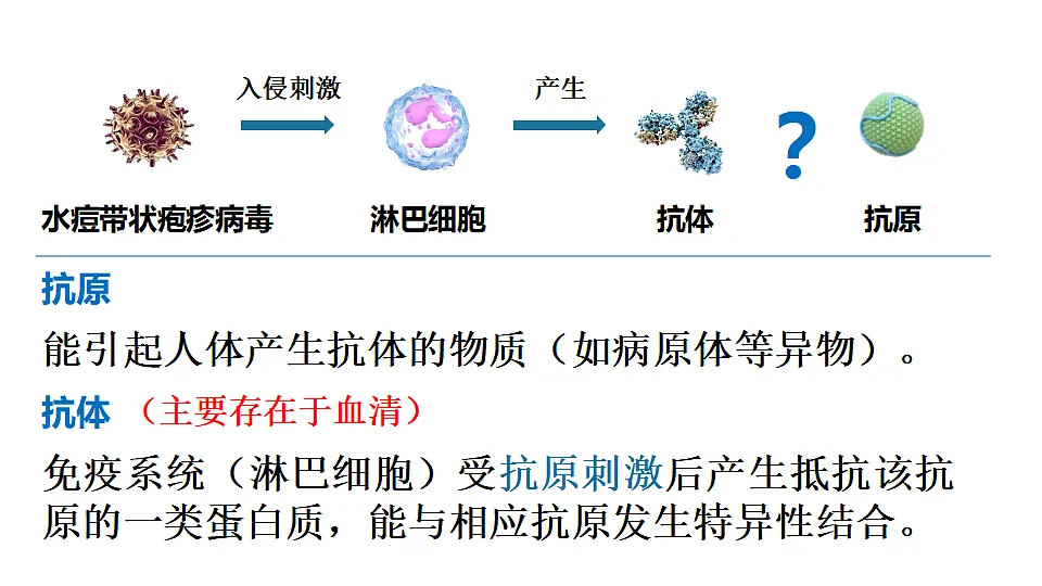 17557237第7页