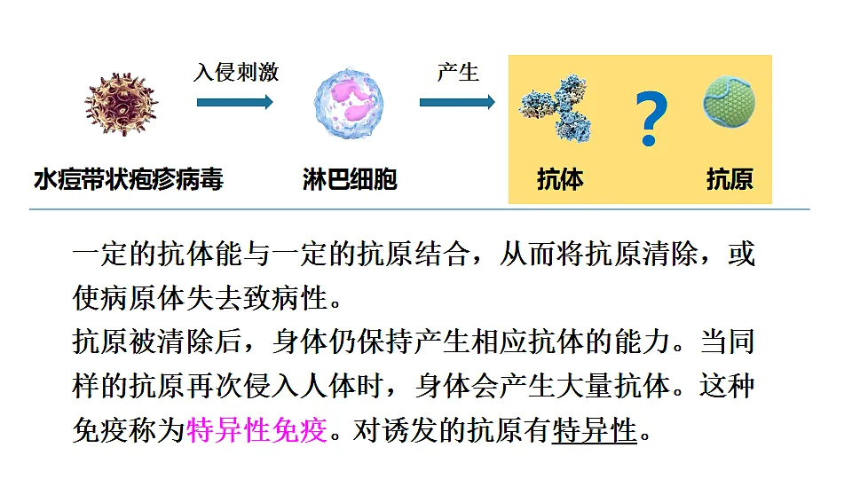 17557237第8页