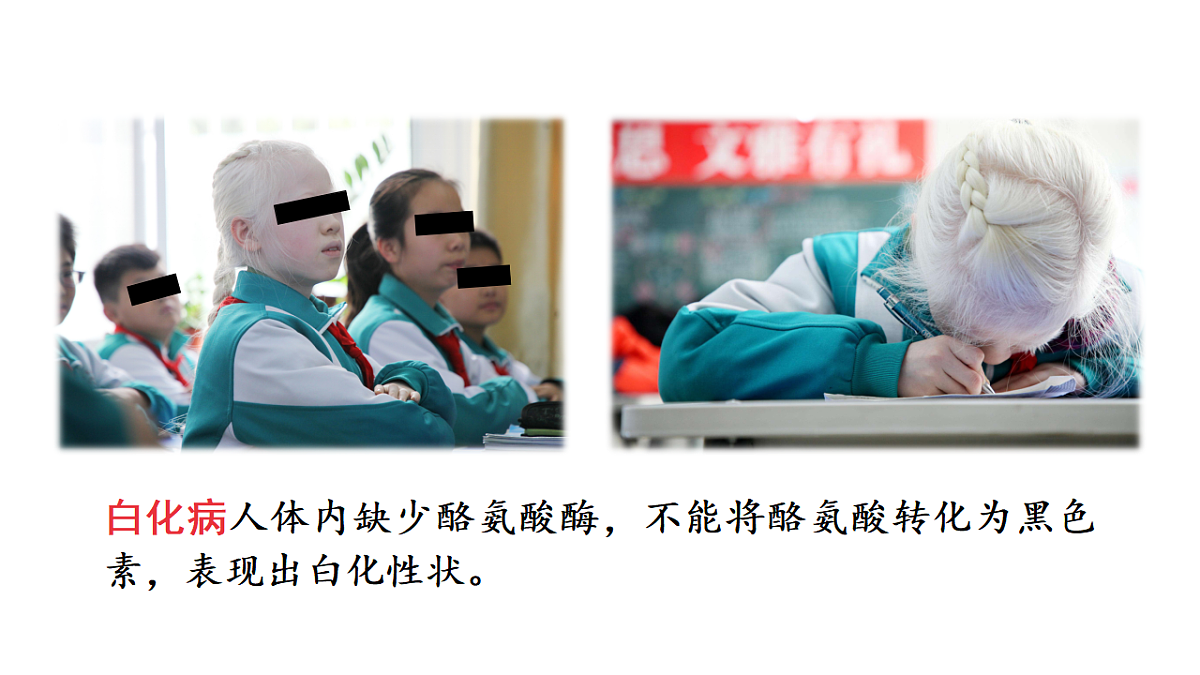 17557247第2页