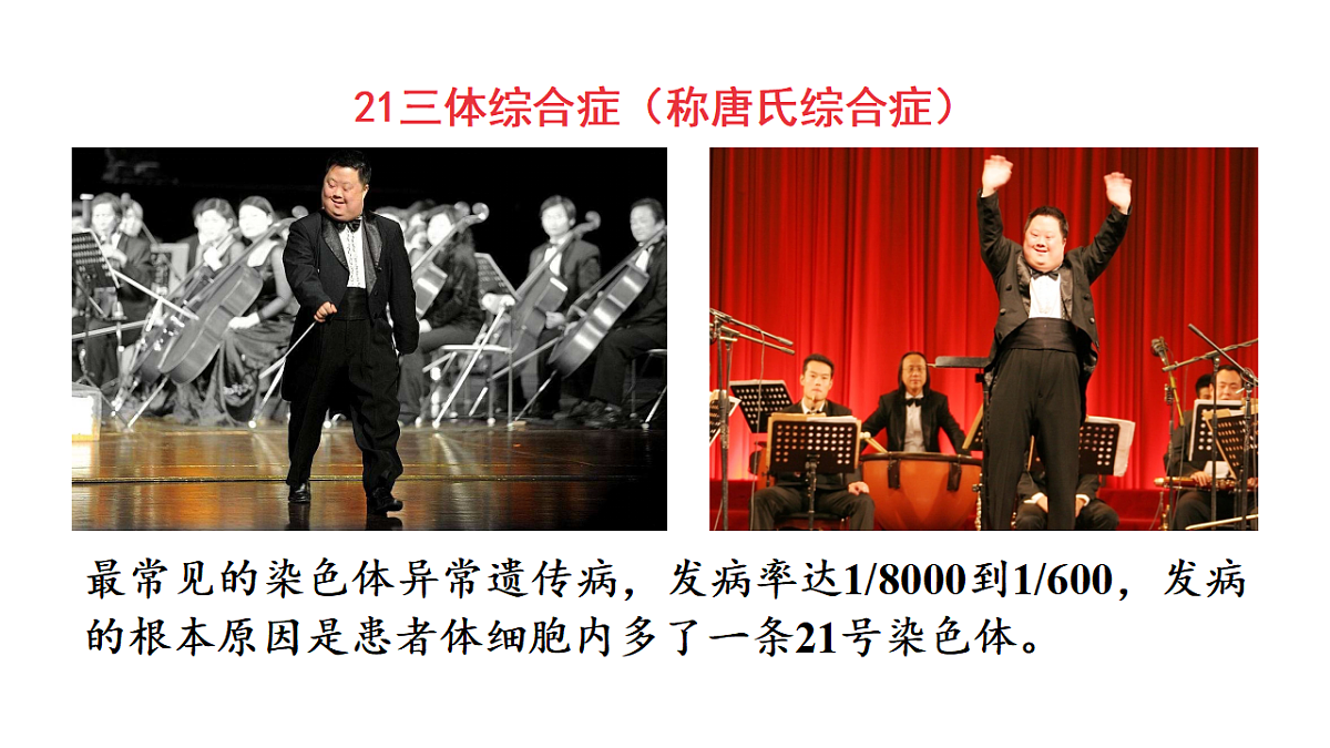 17557247第5页