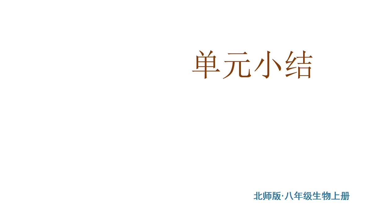 17557252第1页
