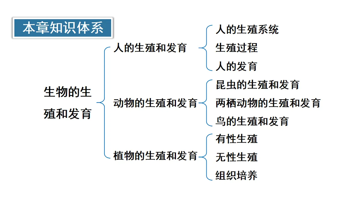 17557252第3页