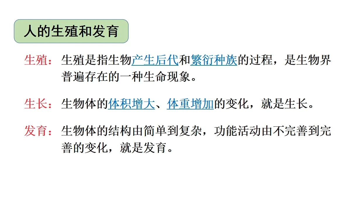 17557252第4页