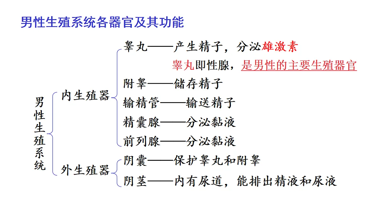 17557252第6页