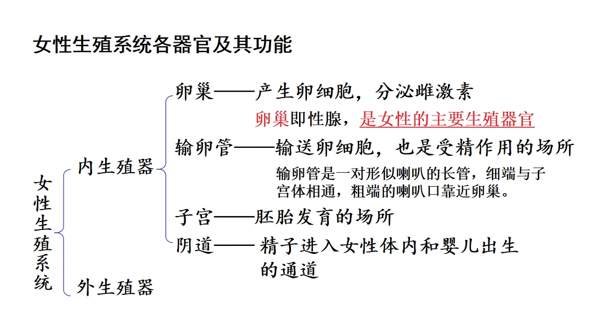 17557252第8页