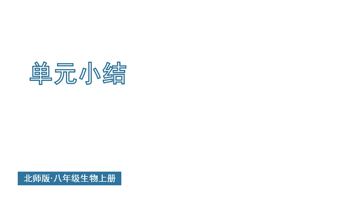 17557253第1页