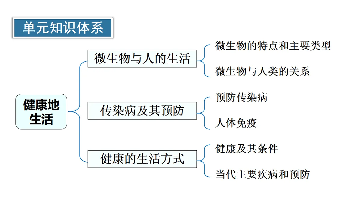 17557253第2页