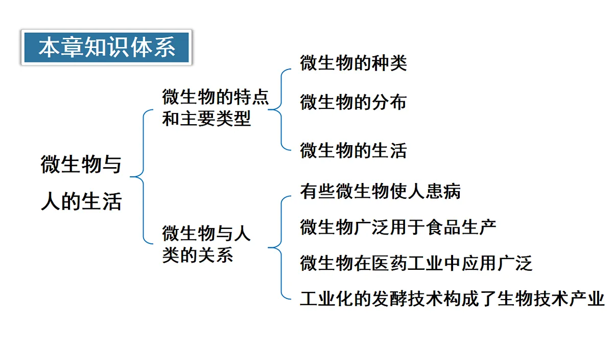 17557253第3页