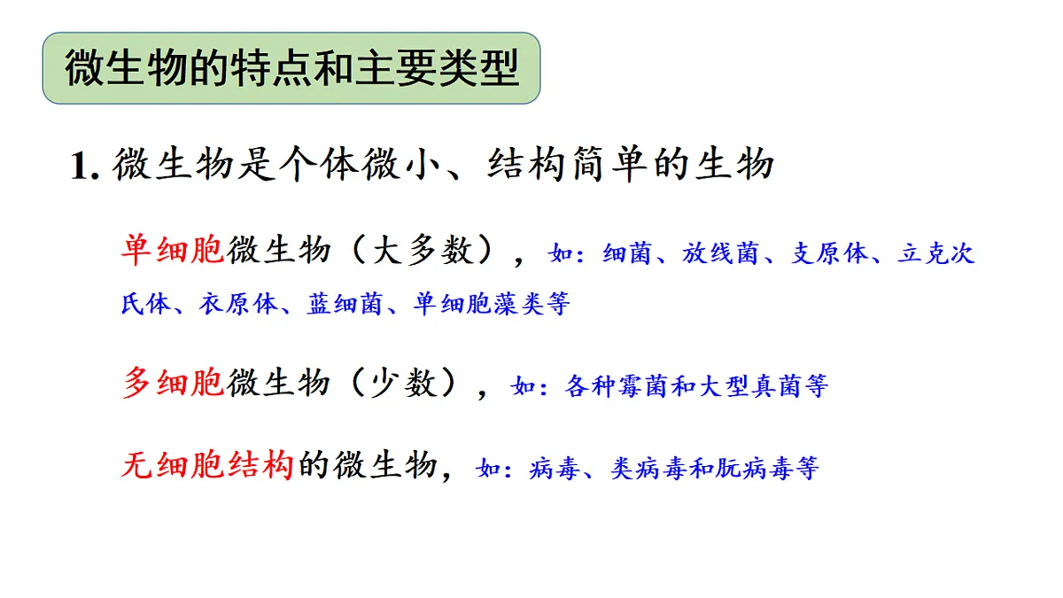 17557253第4页