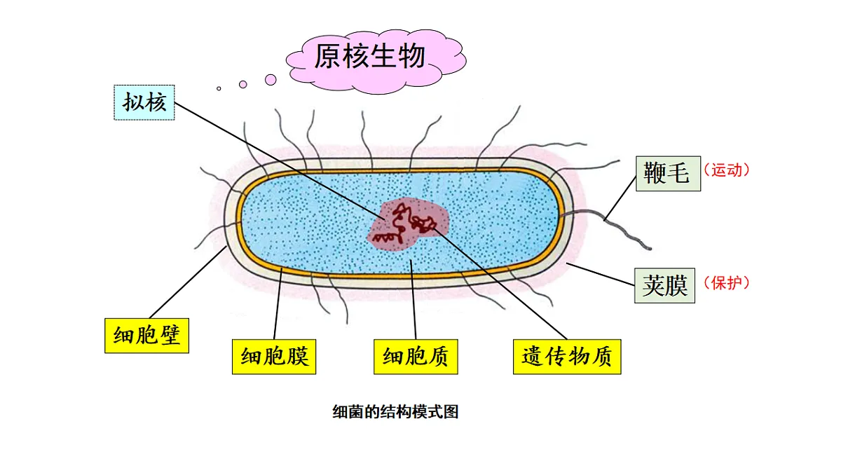 17557253第6页