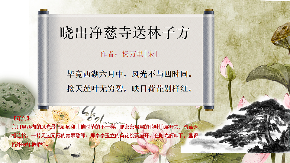 17557276第5页