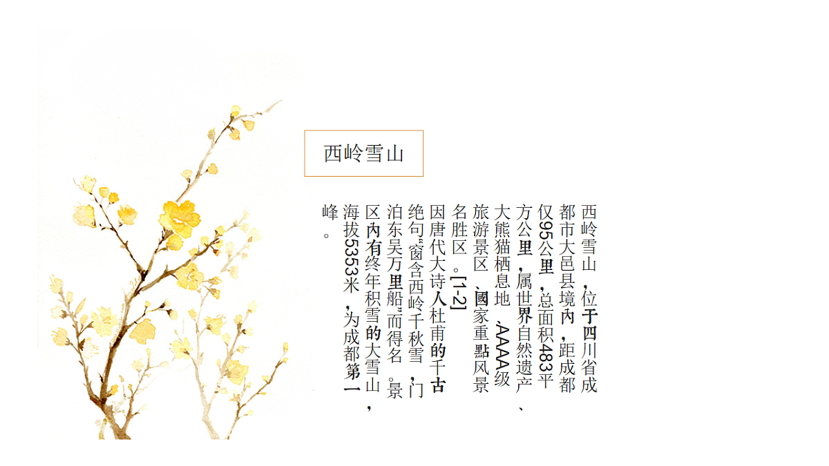 17557285第8页