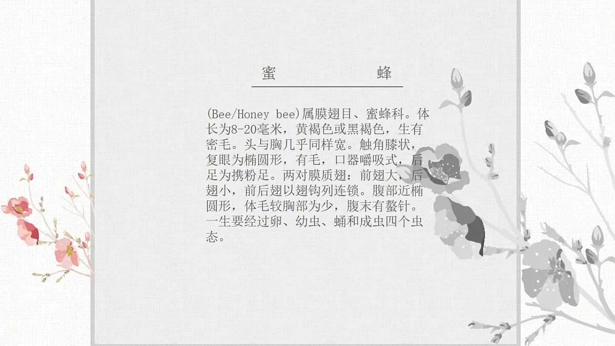 17557293第8页