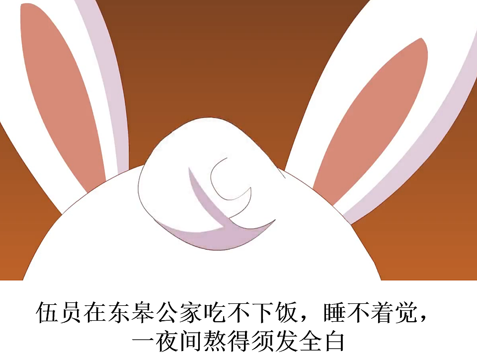 17557295第7页