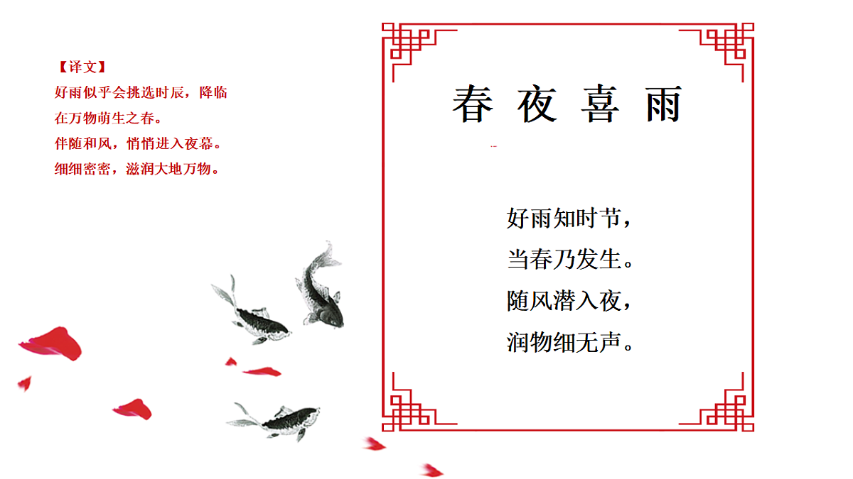 17557298第5页