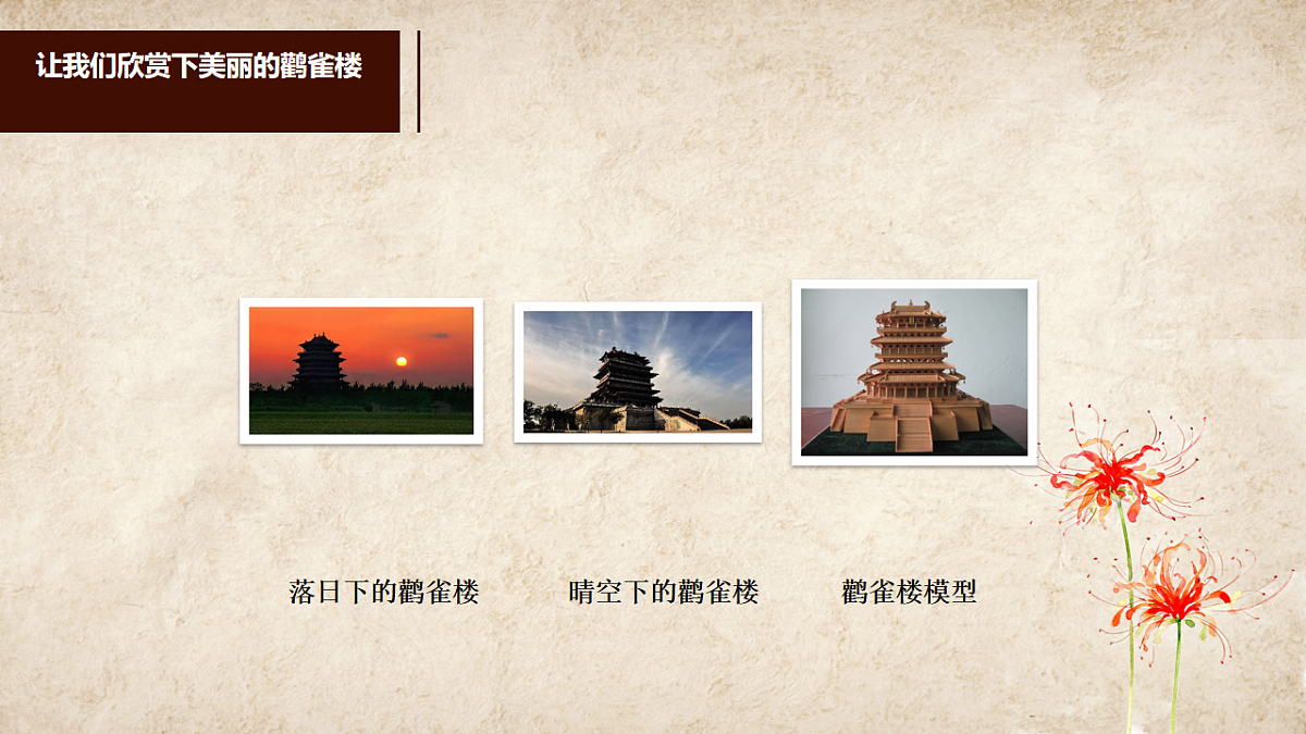 17557299第8页