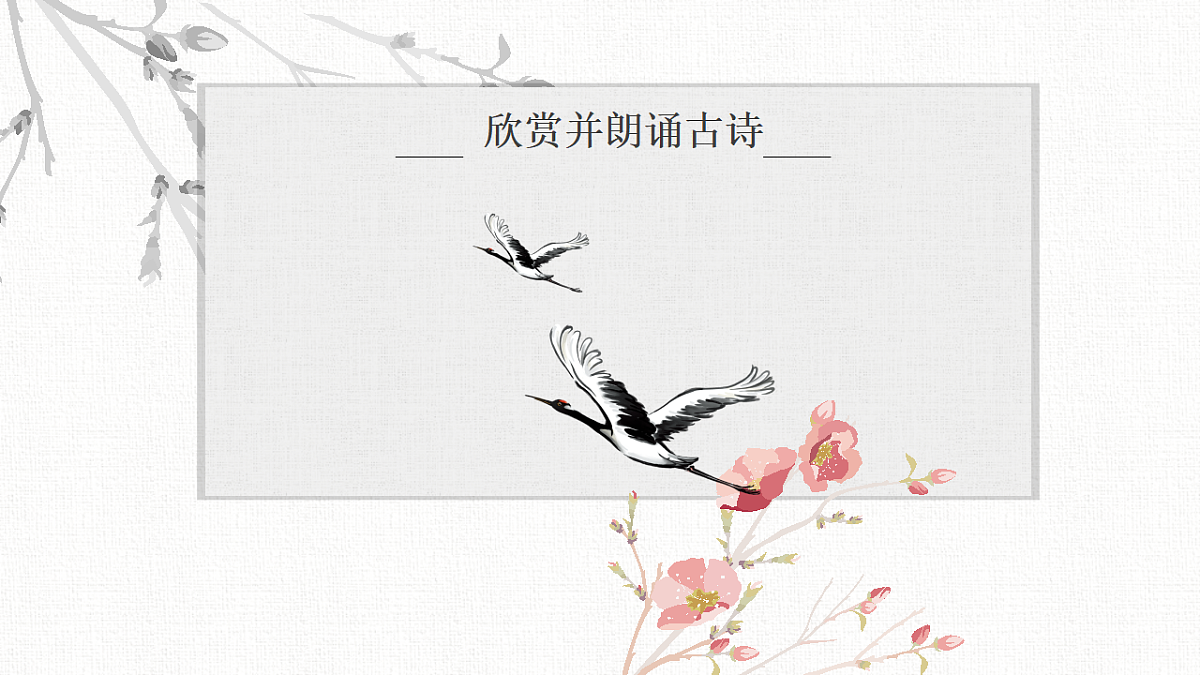 17557300第3页