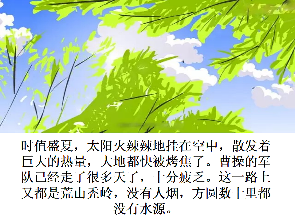 17557302第3页