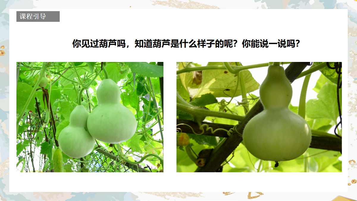17557308第3页